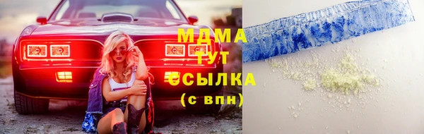 шишки Гусиноозёрск
