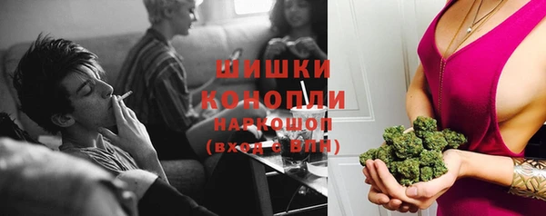 шишки Гусиноозёрск