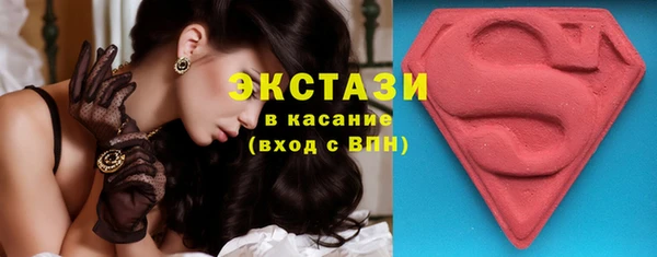 шишки Гусиноозёрск