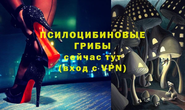 MDMA Premium VHQ Гусев