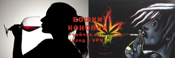 шишки Гусиноозёрск
