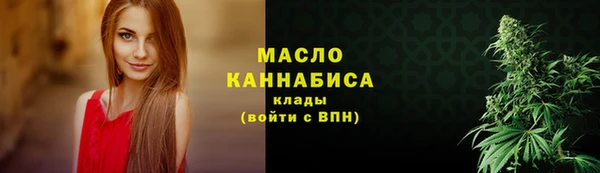 шишки Гусиноозёрск