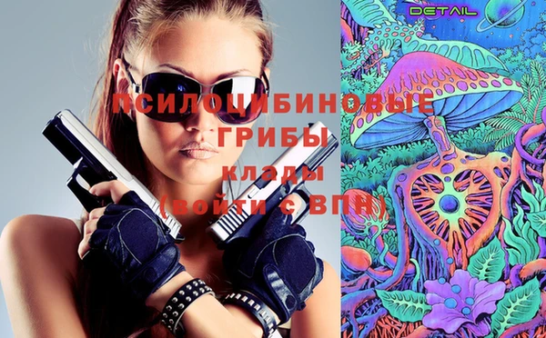 шишки Гусиноозёрск