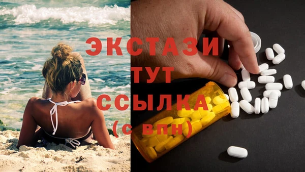 шишки Гусиноозёрск