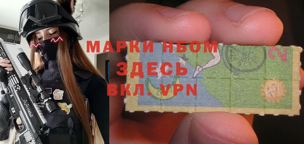 шишки Гусиноозёрск