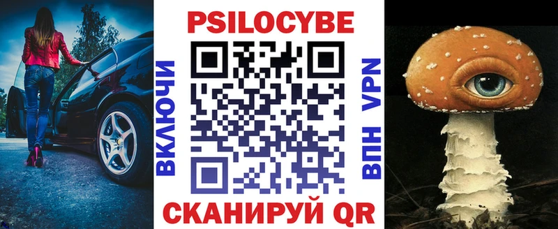 Купить  Пудож  Галлюциногенные грибы Psilocybe 